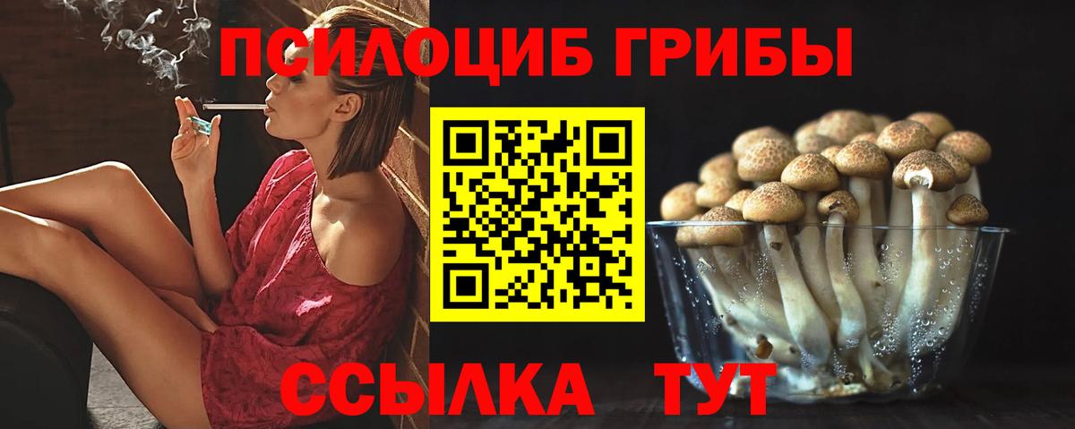 Галлюциногенные грибы ЛСД  Псилоцибиновые грибы Psilocybe  Вход с VPN  Новый Уренгой 